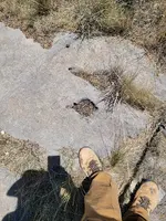 20230601_115717.webp
