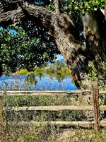 20230904_095249.webp