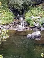 20230908_130818.webp