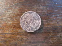 Fatty IHP Reverse 091023.webp