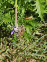 20230912_135312.webp