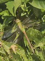 20230819_070257.webp
