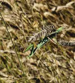 20230909_132502.webp