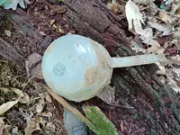 20230827_100847.webp