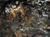 IMG-20230915-WA0002.webp