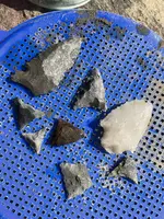 IMG_5359.jpeg