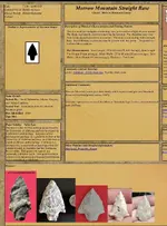 IMG_1767.jpeg