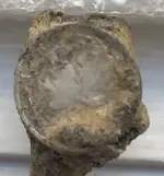 Mercury dime.webp