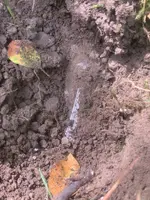 IMG_1871.jpeg