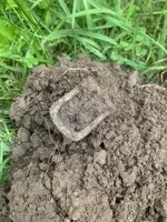 IMG_1868.jpeg