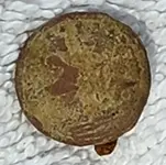 20230924_120259.webp