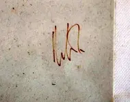 UNK 2.webp