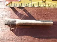 friction-primer_reproduction_sideview_TN_photobySubterranean.webp