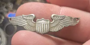 1 silver wings front .jpeg