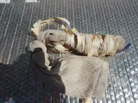 DSCN0688.webp