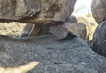 Balance rock.webp