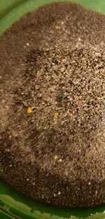 20230927_124641.webp