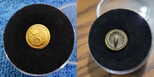 VAMC.Button.1896.MC.Lilley.Co.2100.webp