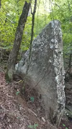 2023-08-07-00-48-57.webp