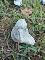 20210821_182634_HDR.webp