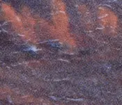 Screenshot 2023-09-28 at 11.23.01 AM.webp
