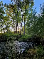 20230929_175514.webp