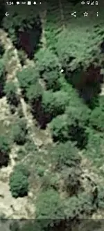Screenshot_20230930-133435.webp