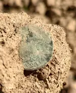 Hibernia in Dirt 1.webp