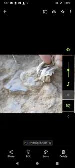 Screenshot_20231003-173723.png
