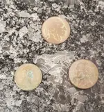 coin-dump.webp