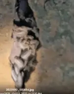 1697128224624.webp