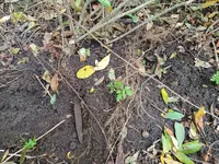 20231015_164231.webp