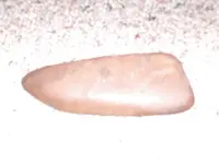 IMGP3984.webp