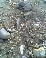 LS adena isle point 5-2-08.webp