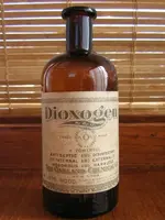 DioFrontS.webp