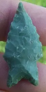 greenpinto.webp