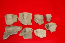 Feurt Site Finds (196).webp