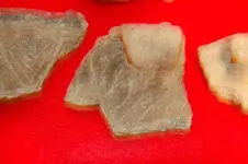 Feurt Site Finds (194).webp