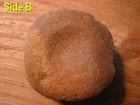 Hammer2.webp