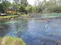 icepond1.webp