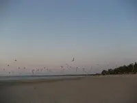 SEPT 22  AT BEACH 010.webp