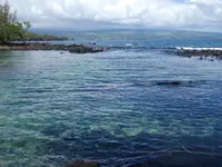 icepond2.webp
