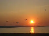SEPT 22  AT BEACH 020.webp