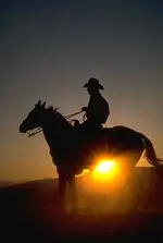 traveling cowboy.webp