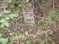 HPIM0322.webp