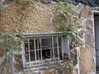 HPIM0323.webp