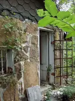 HPIM0324.webp