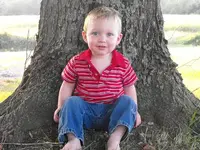 Levi_tree.webp