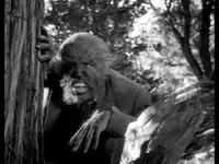 THE%20WEREWOLF.webp