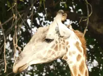 DSCN2470.webp
